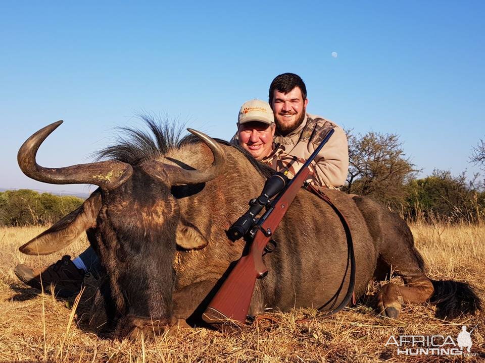 South Africa Blue Wildebeest Hunting