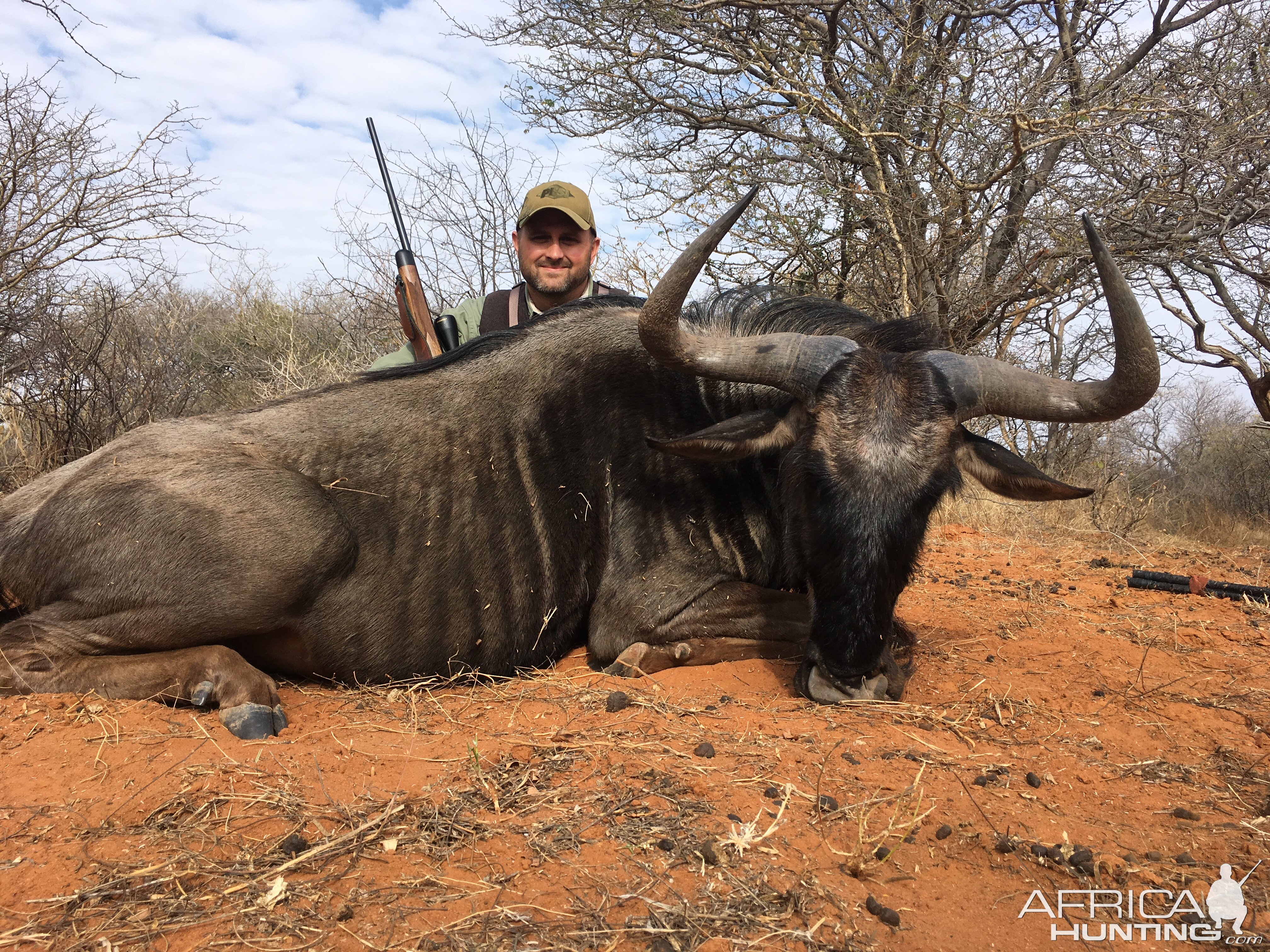 South Africa Blue Wildebeest Hunting