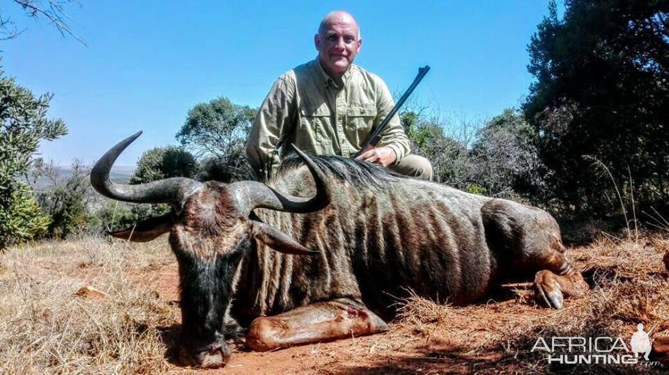 South Africa Blue Wildebeest Hunting