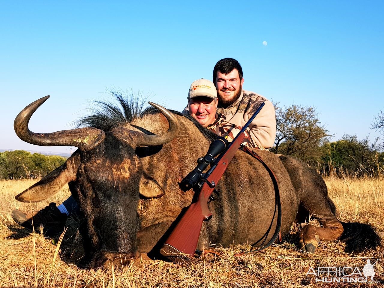 South Africa Blue Wildebeest Hunting