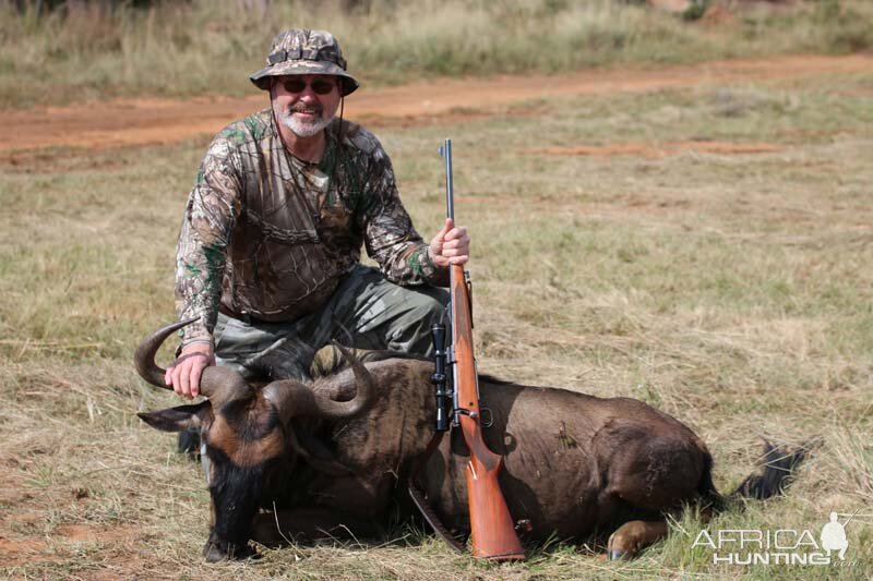 South Africa Blue Wildebeest Hunting