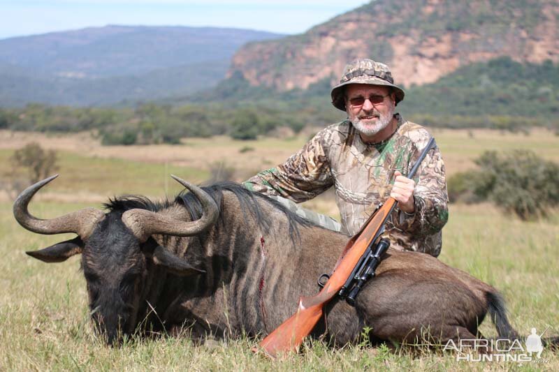 South Africa Blue Wildebeest Hunting