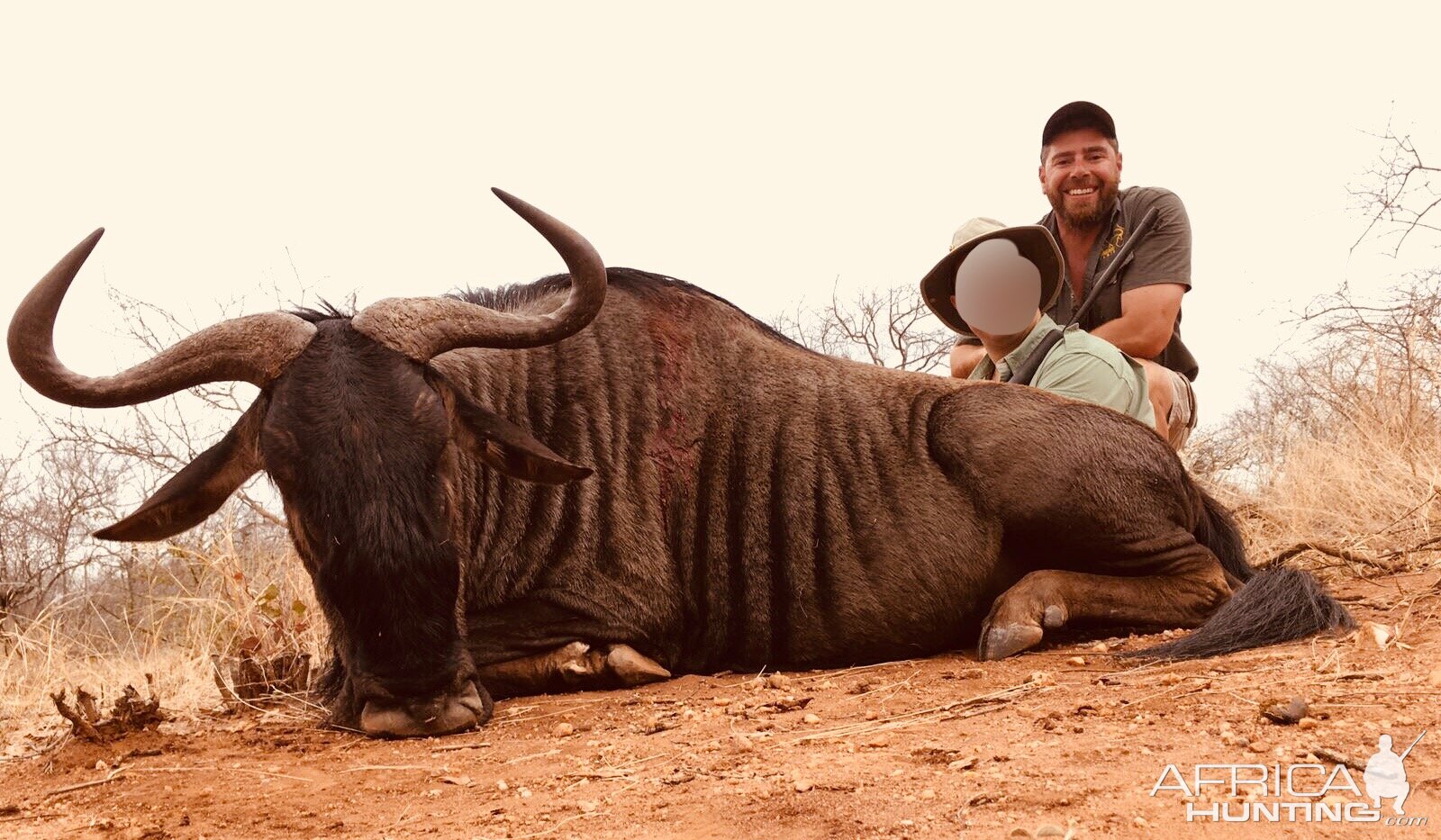 South Africa Blue Wildebeest Hunting