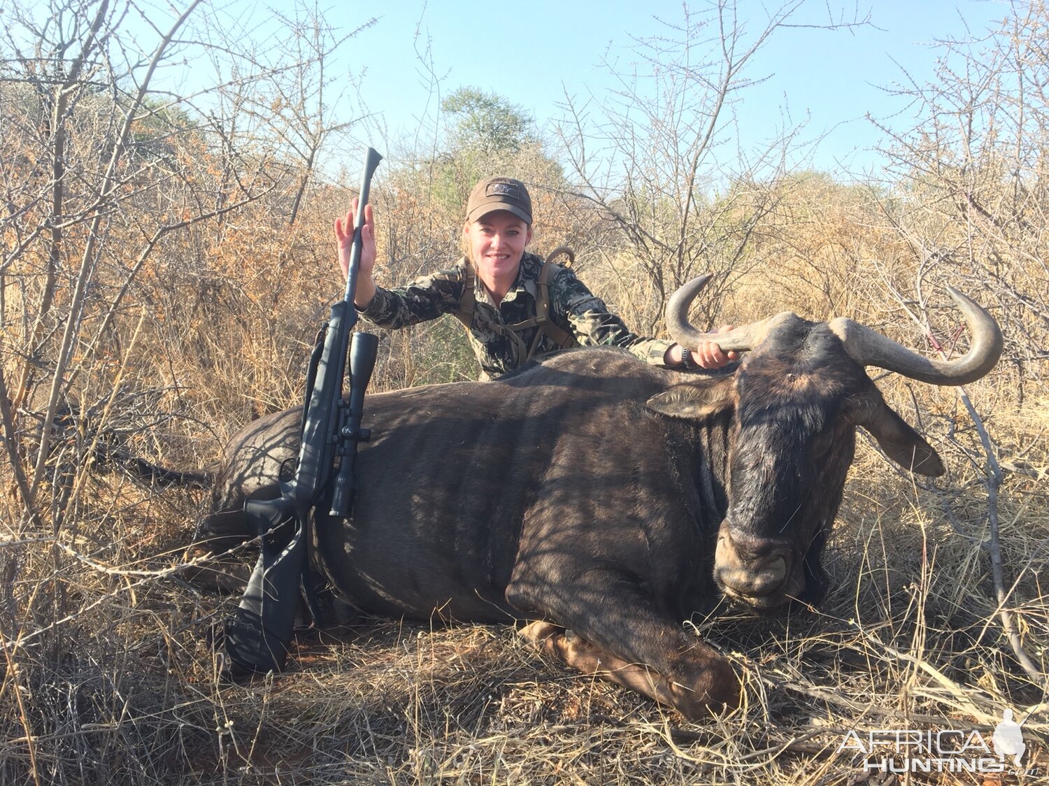 South Africa Blue Wildebeest Hunting