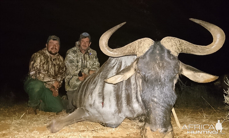 South Africa Blue Wildebeest Hunting