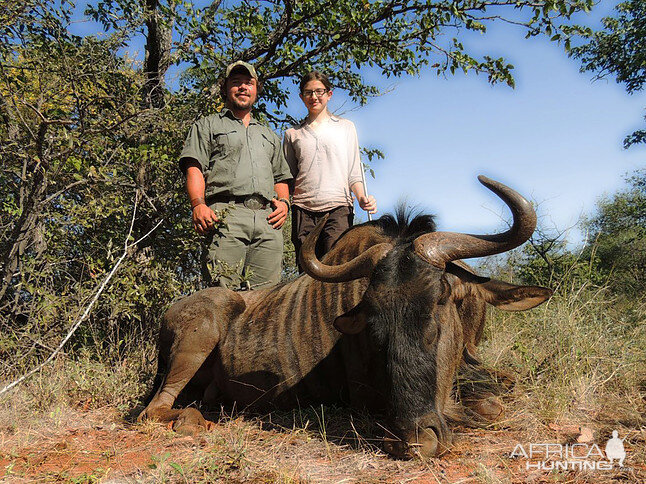 South Africa Blue Wildebeest Hunting