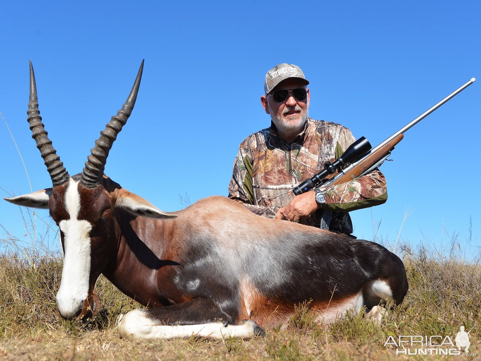 South Africa Bontebok Hunting