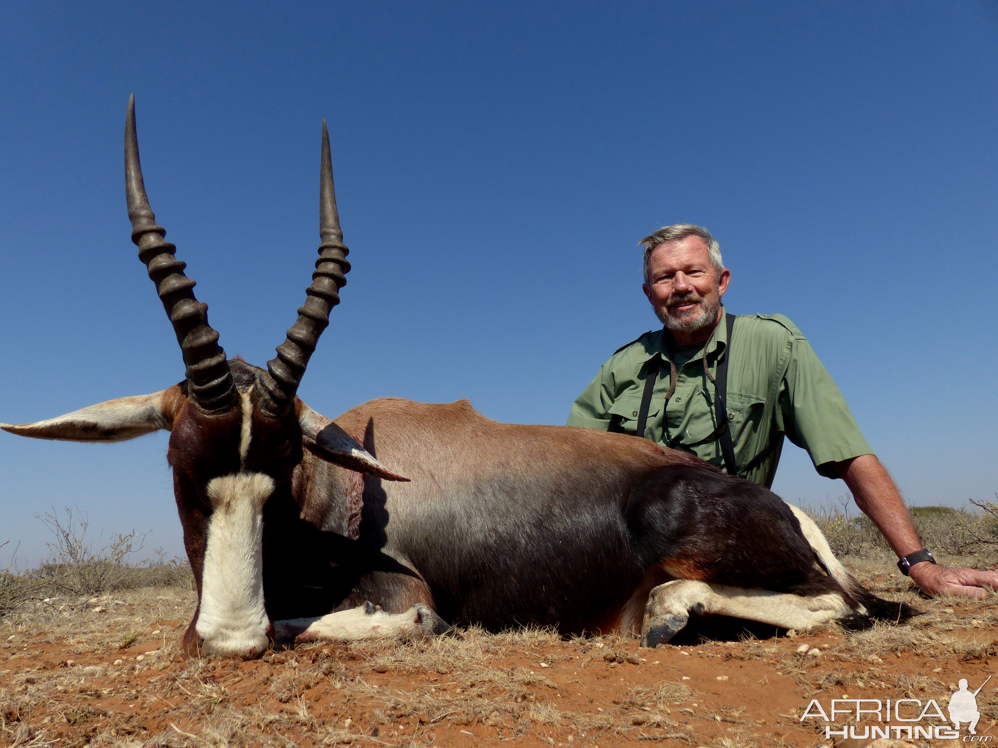 South Africa Bontebok Hunting