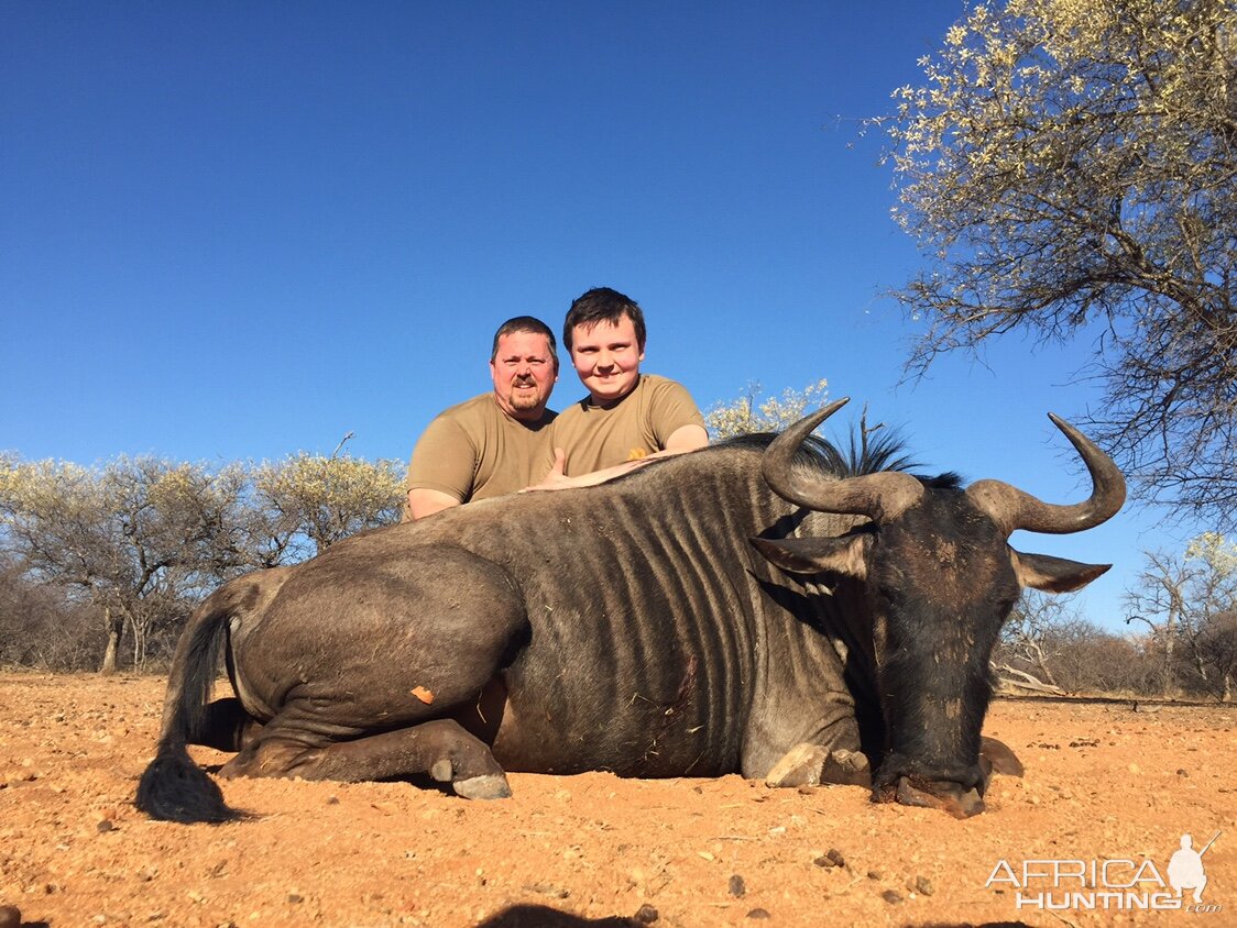 South Africa Bow Hunt Blue Wildebeest