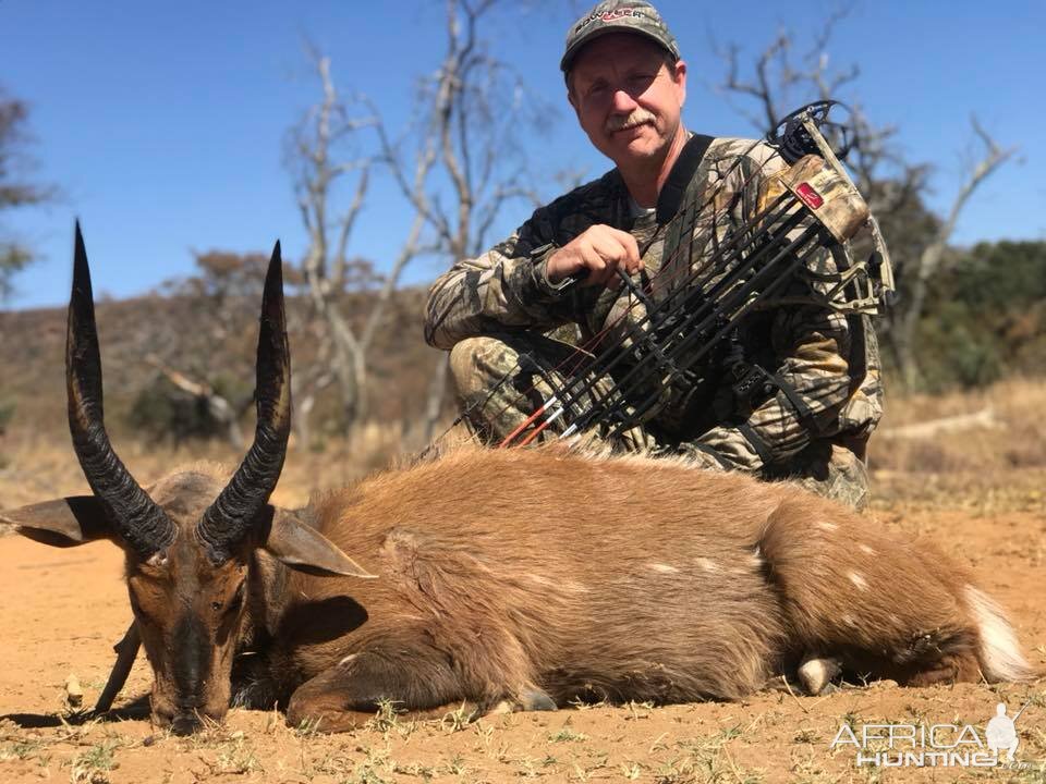 South Africa Bow Hunt Bushbuck