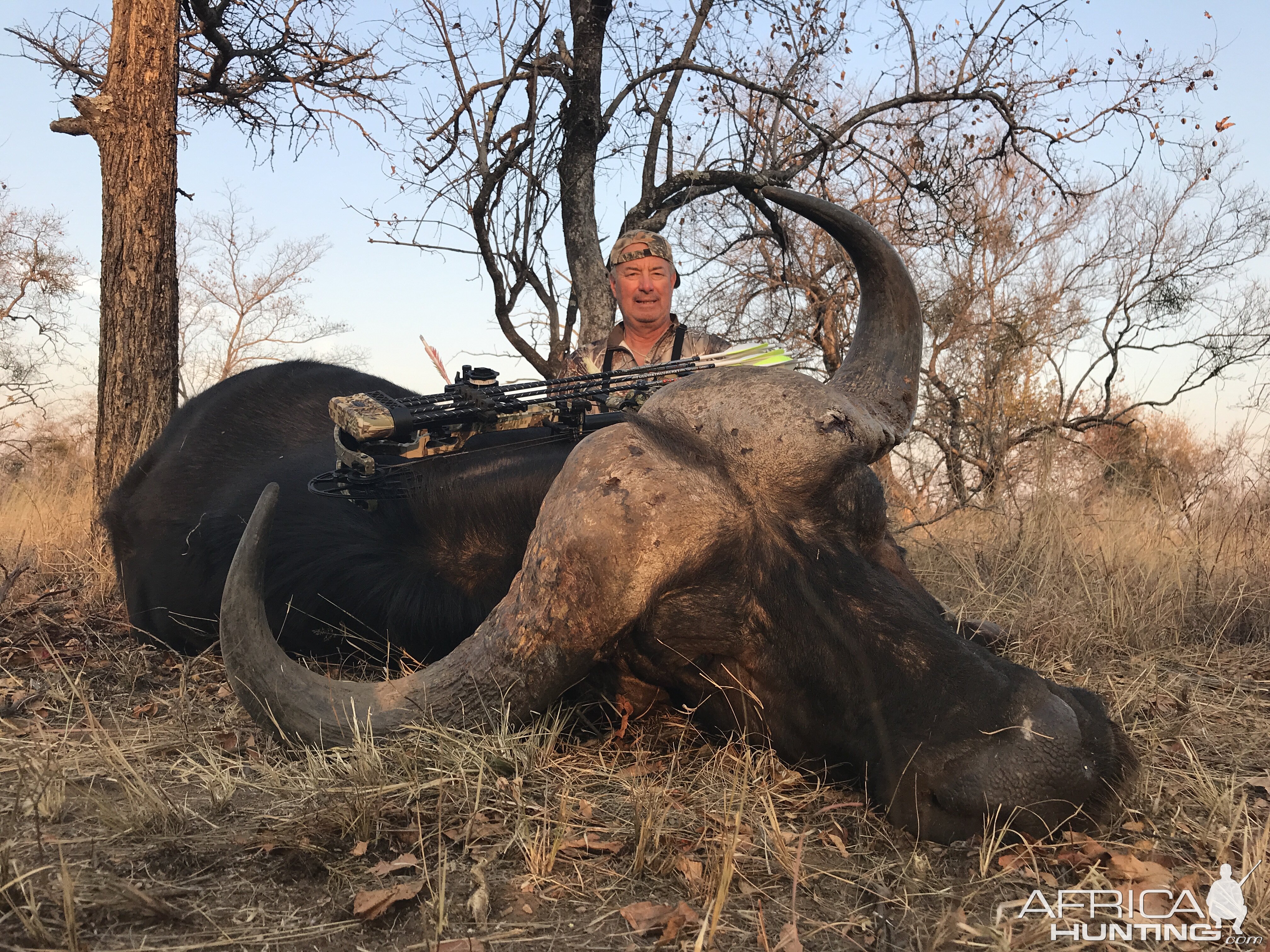 South Africa Bow Hunt Cape Buffalo