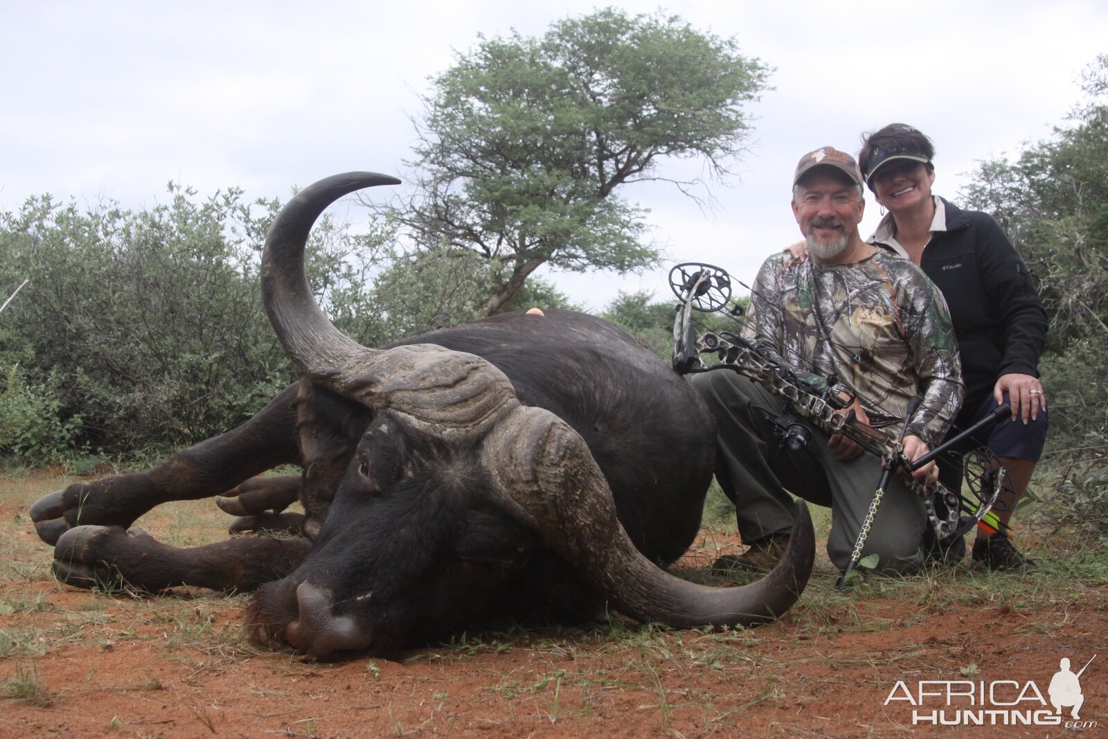 South Africa Bow Hunt Cape Buffalo