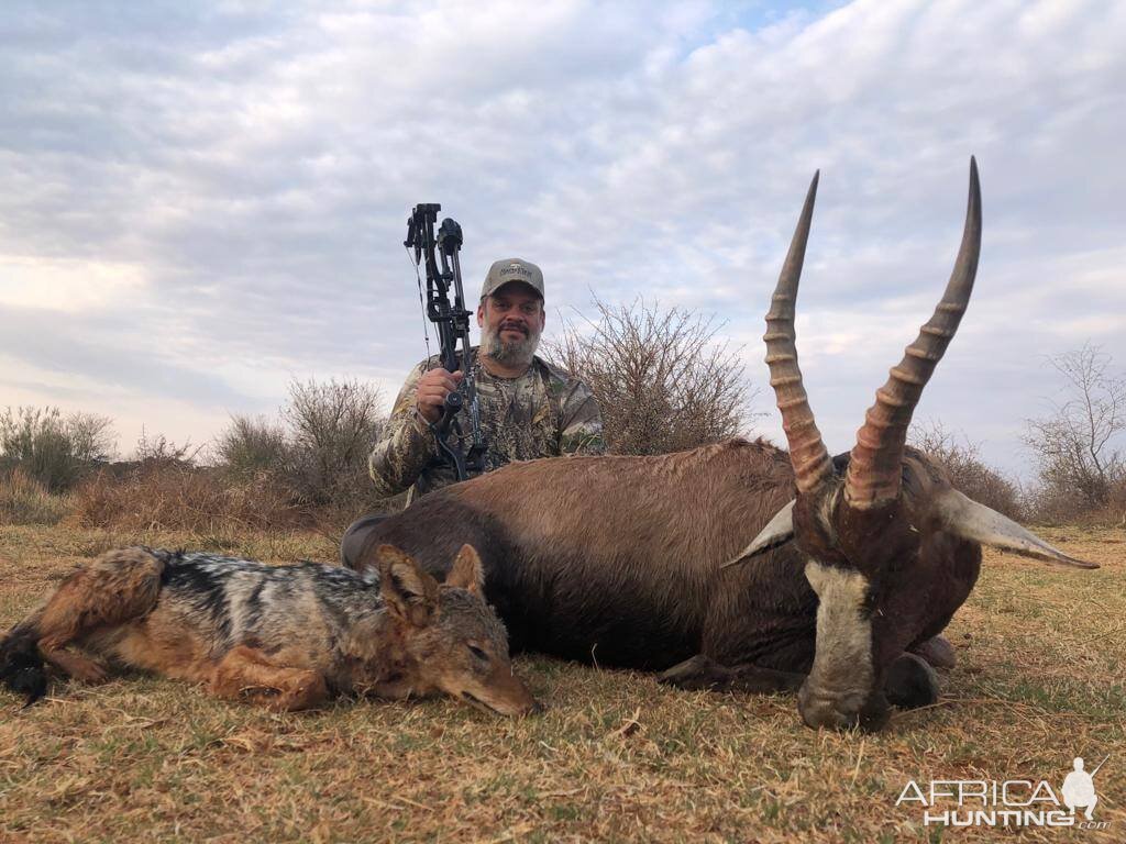 South Africa Bow Hunt Jackal & Blesbok