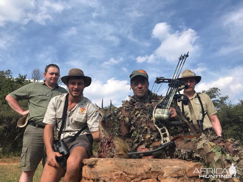 South Africa Bow Hunt Klipspringer