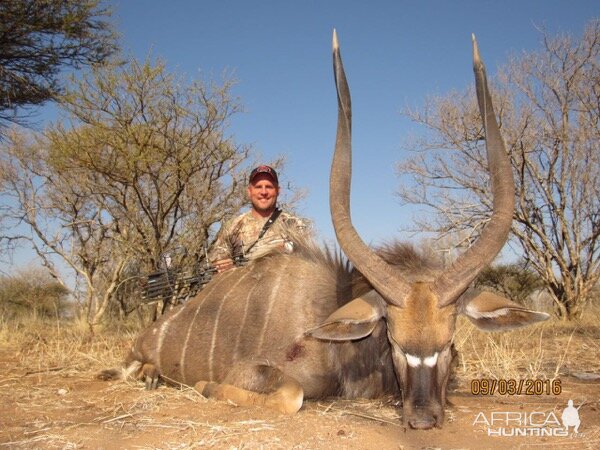 South Africa Bow Hunt Nyala