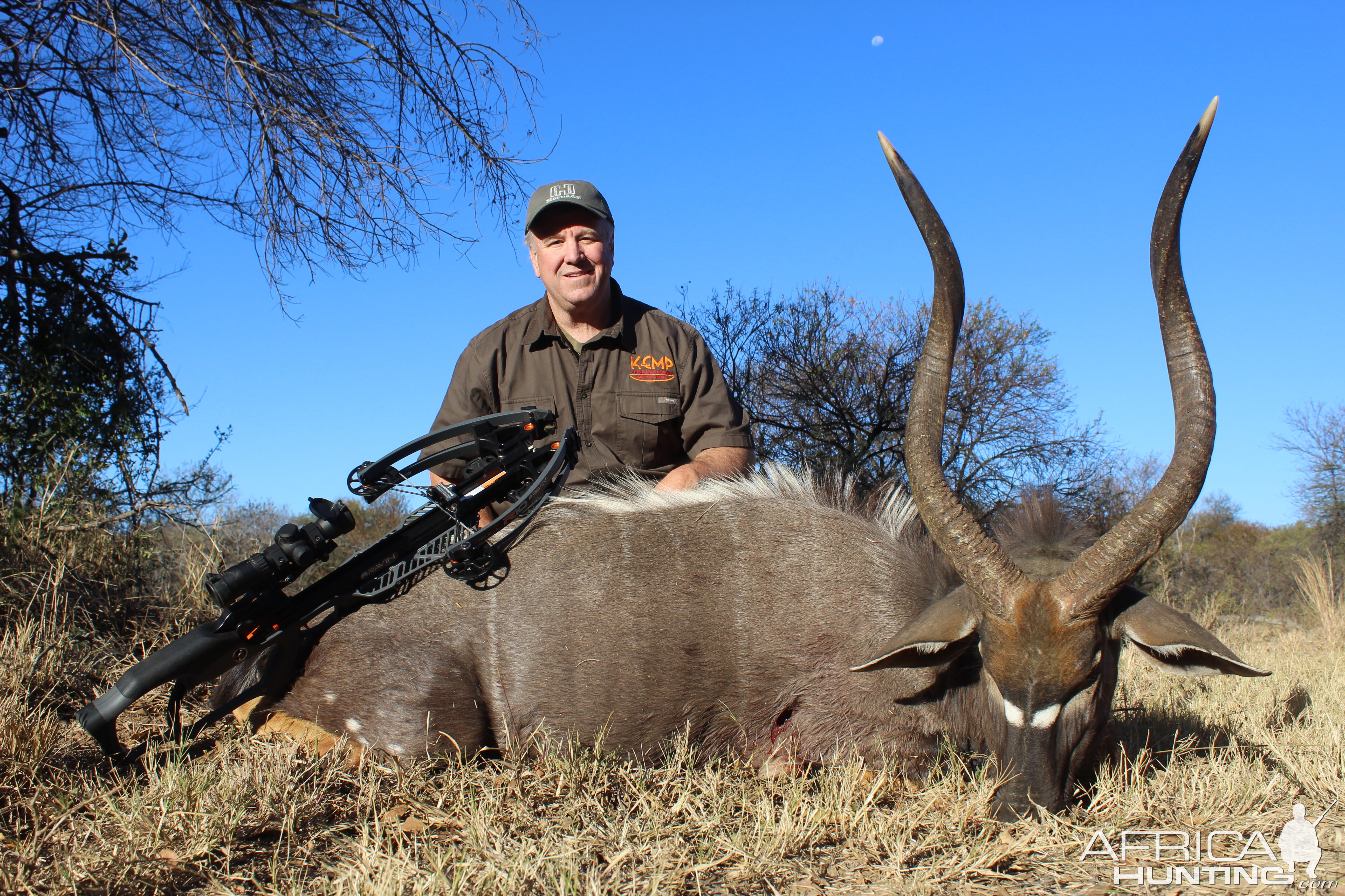 South Africa Bow Hunt Nyala