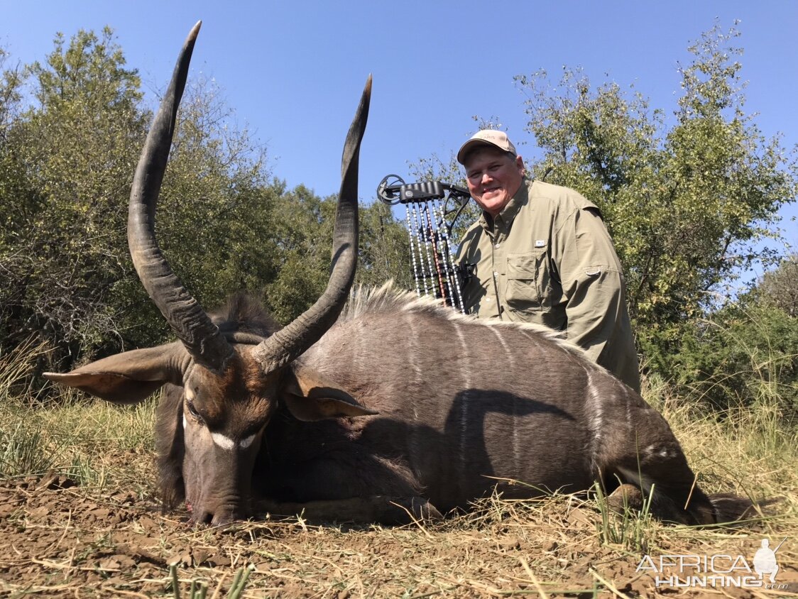 South Africa Bow Hunt Nyala