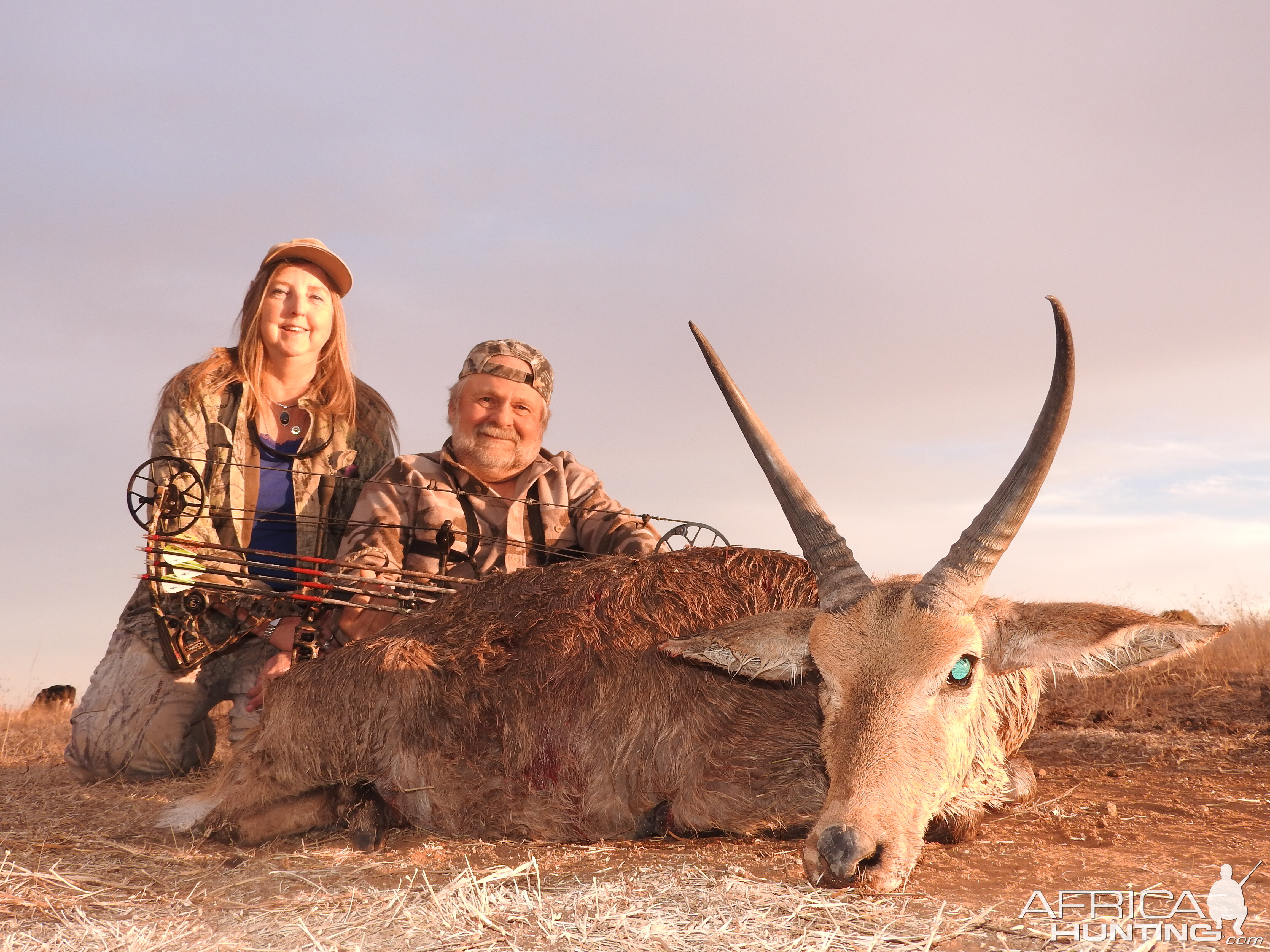 South Africa Bow Hunt Reedbuck