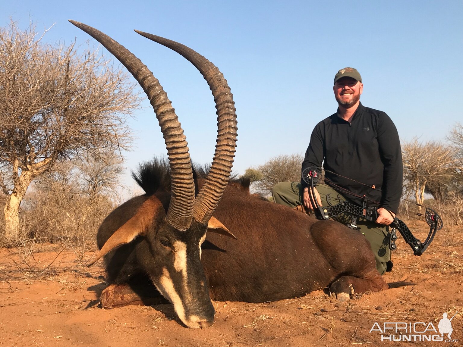 South Africa Bow Hunt Sable Antelope