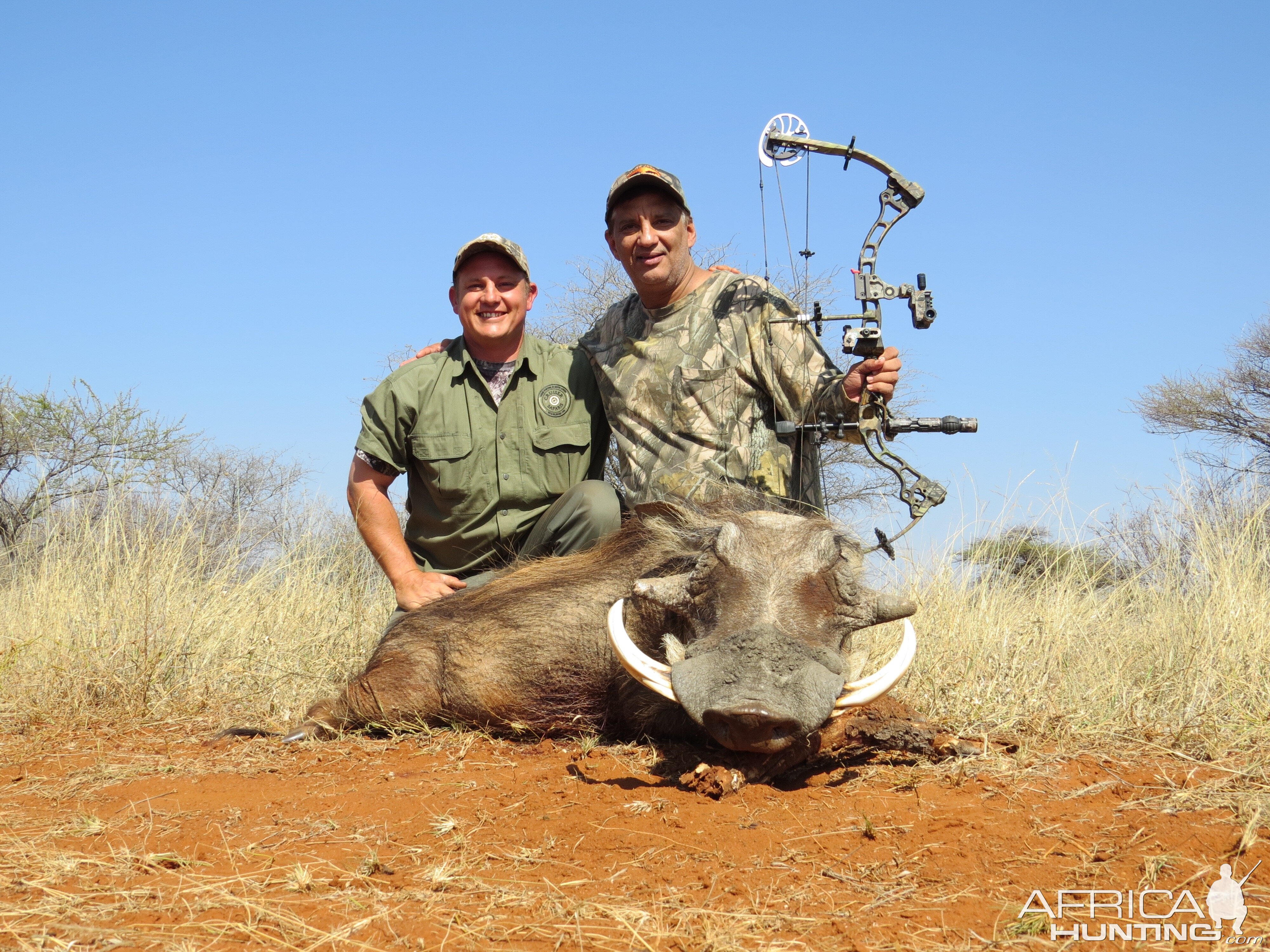 South Africa Bow Hunt Warthog