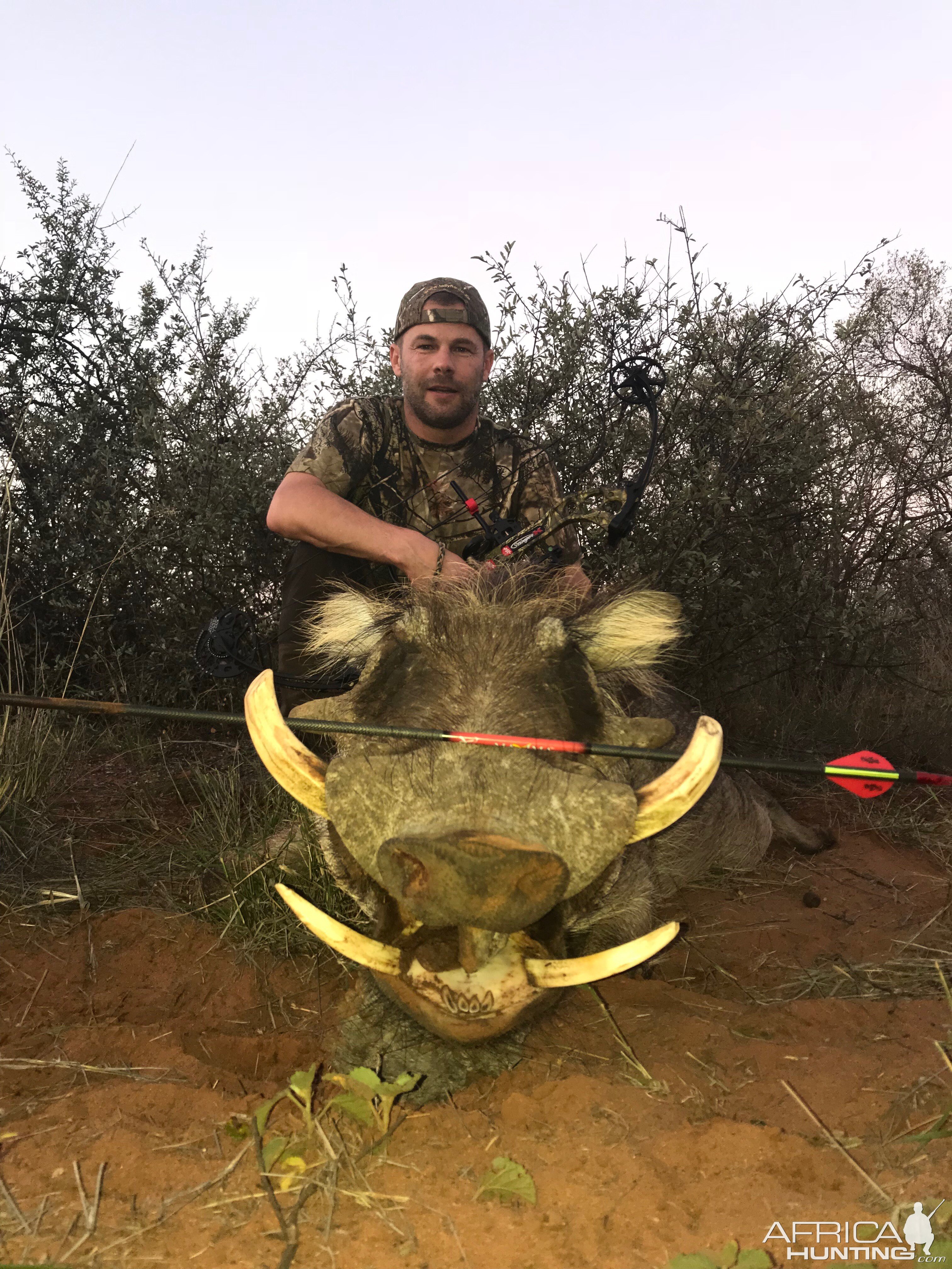 South Africa Bow Hunt Warthog