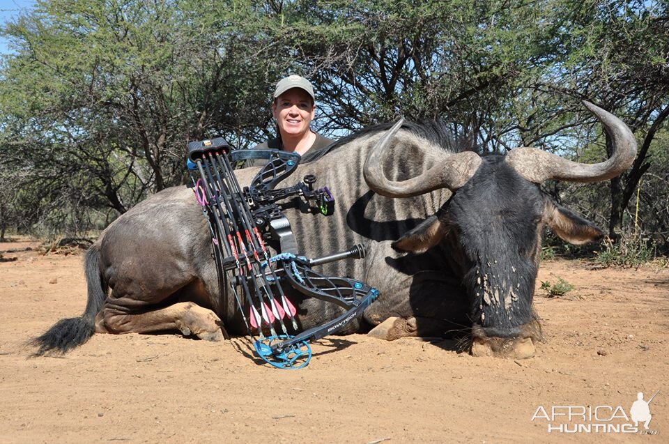 South Africa Bow Hunting Blue Wildebeest