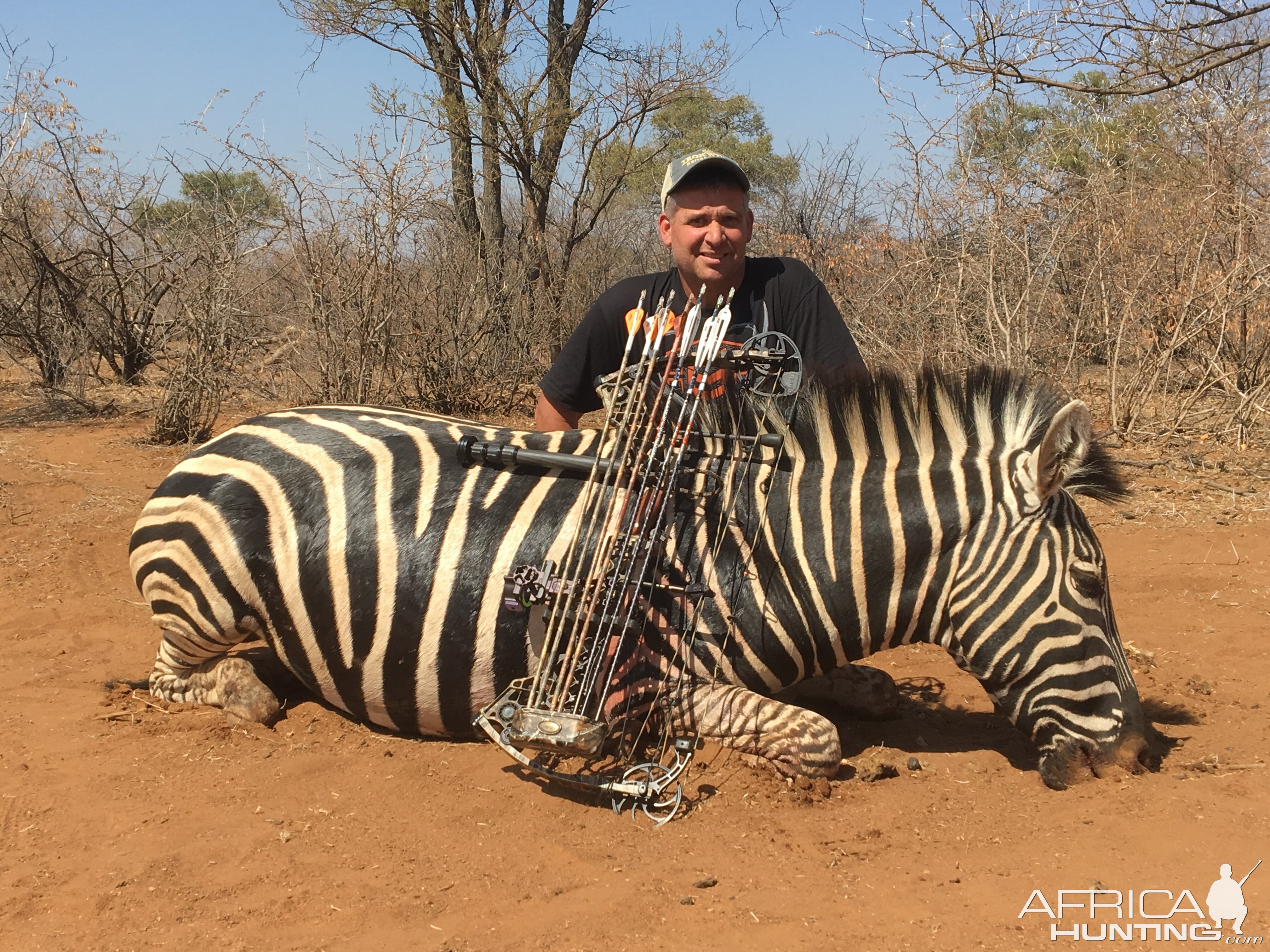 South Africa Bow Hunting Burchell's Plain Zebra