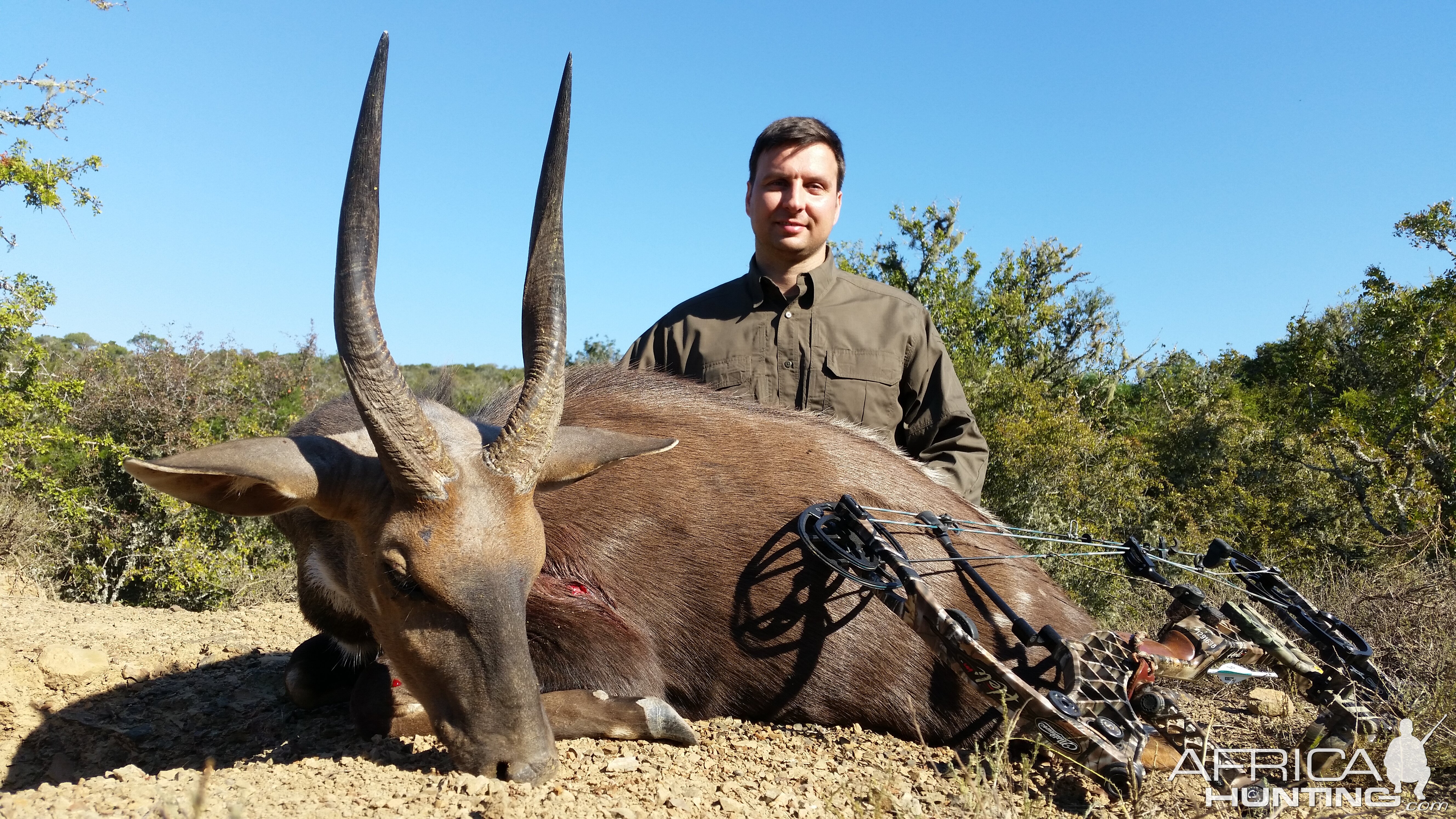 South Africa Bow Hunting Bushbuck