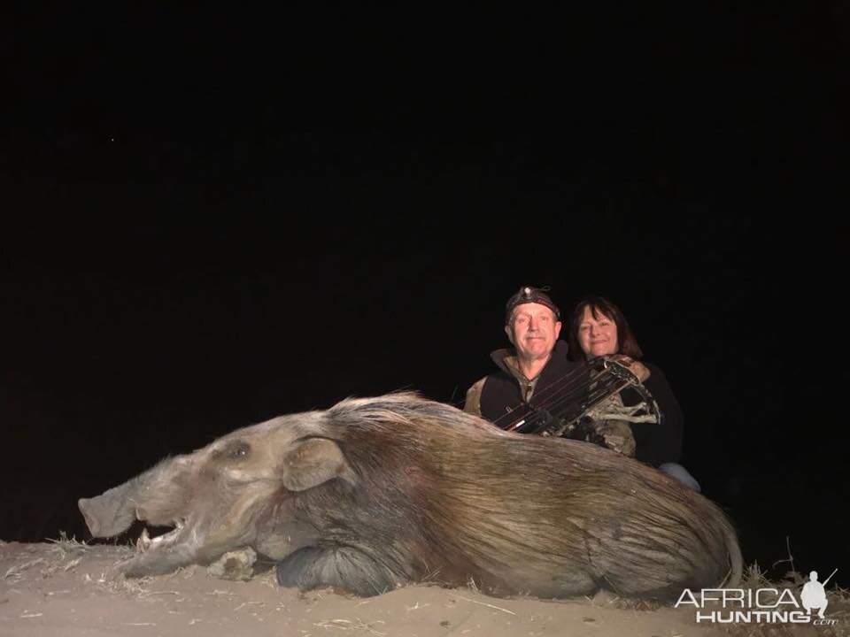 South Africa Bow Hunting Bushpig