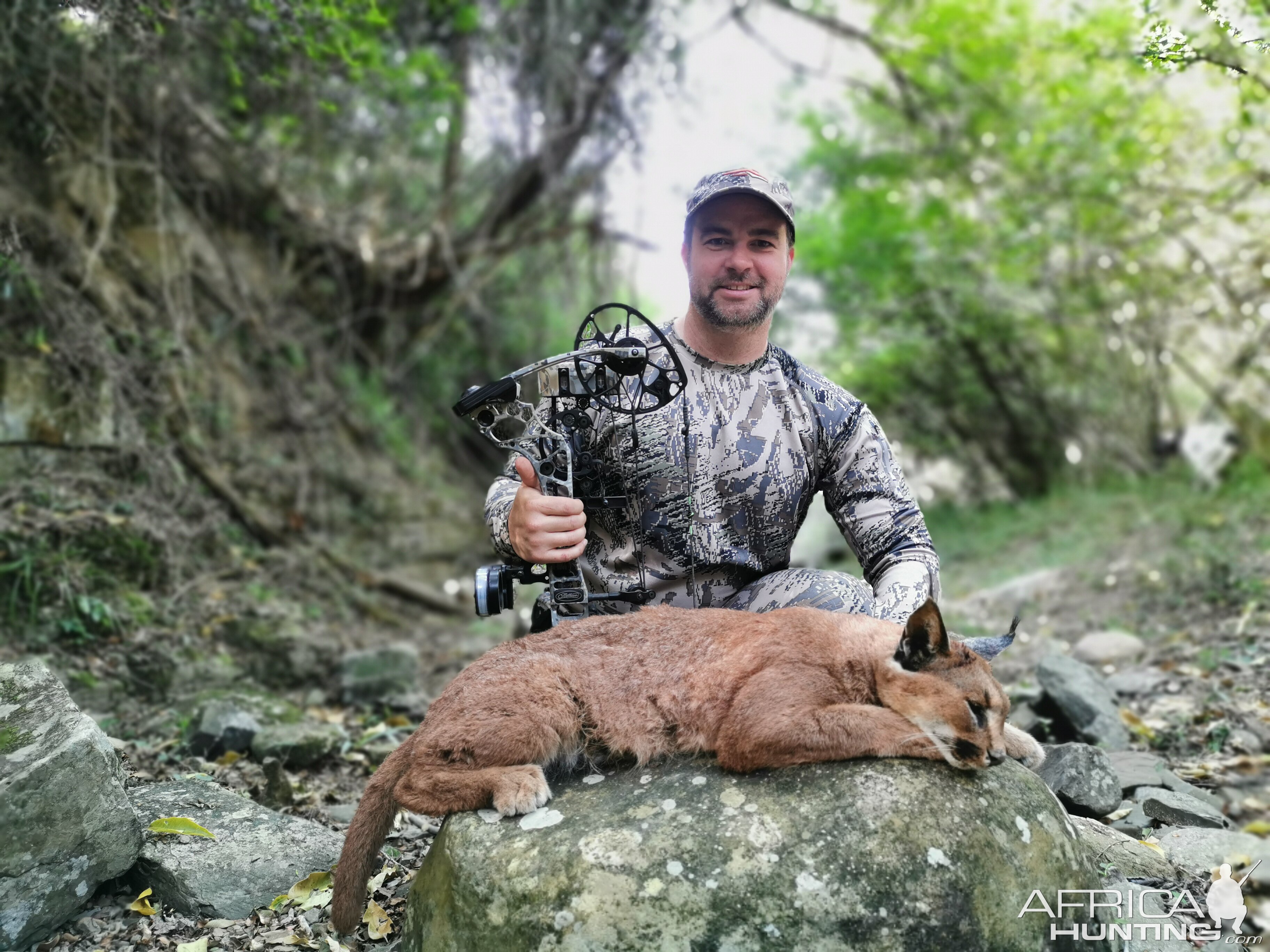 South Africa Bow Hunting Caracal