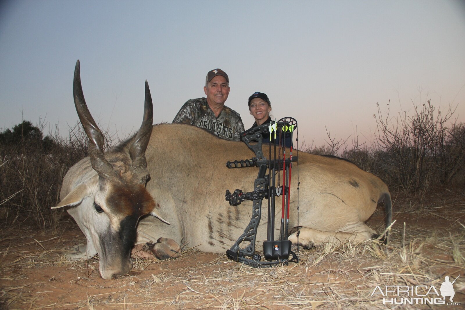 South Africa Bow Hunting Eland