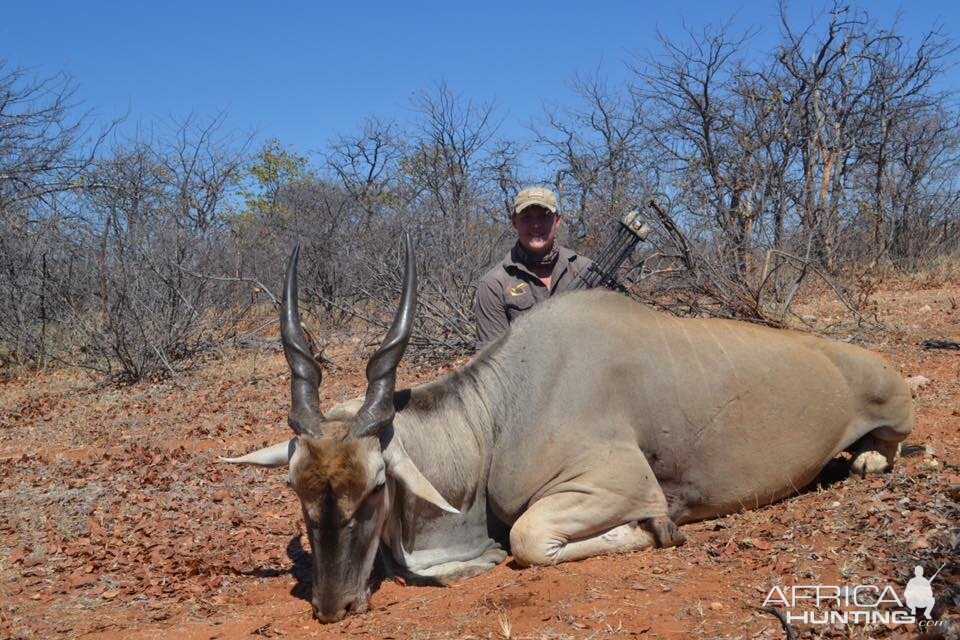 South Africa Bow Hunting Eland