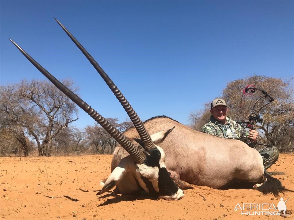 South Africa Bow Hunting Gemsbok