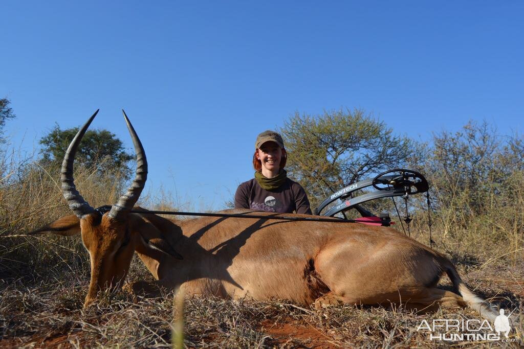 South Africa Bow Hunting Impala