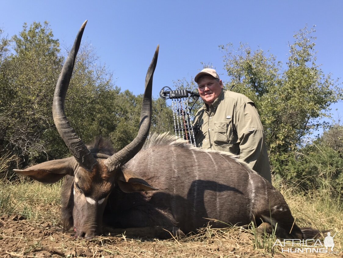 South Africa Bow Hunting Nyala