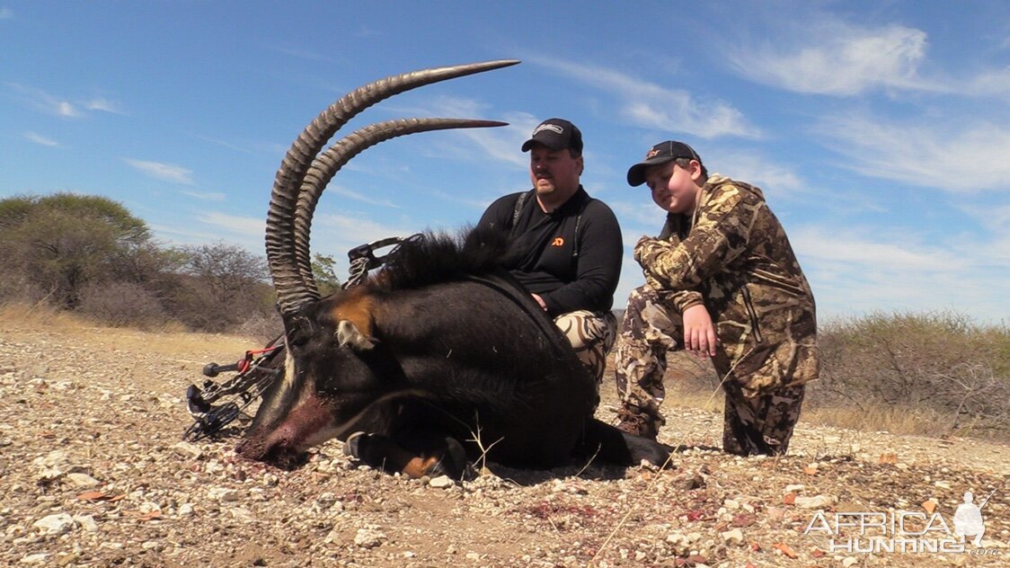 South Africa Bow Hunting Sable Antelope