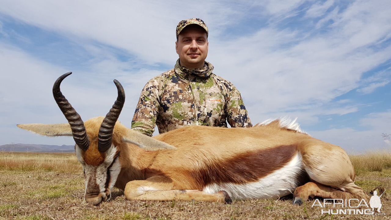 South Africa Bow Hunting Springbok