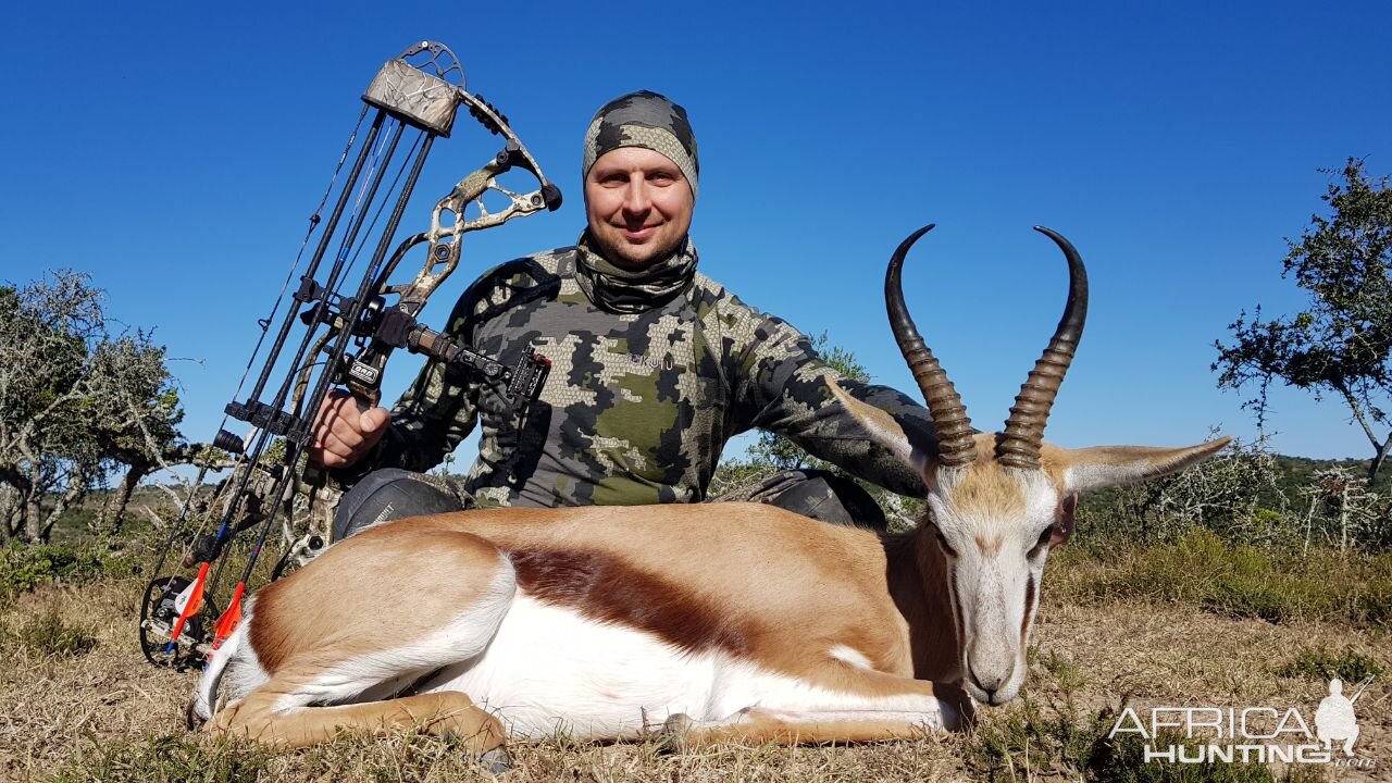 South Africa Bow Hunting Springbok