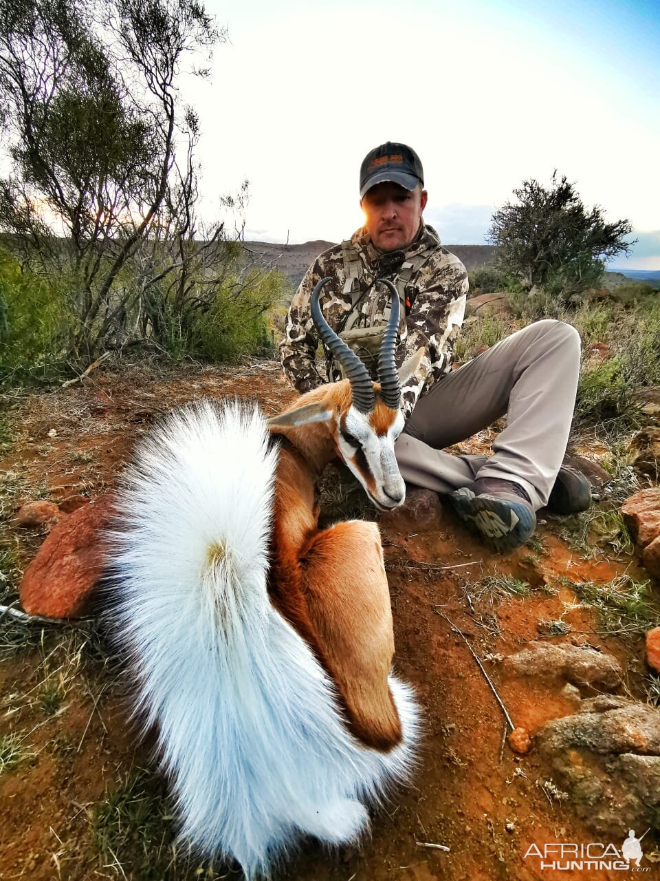 South Africa Bow Hunting Springbok