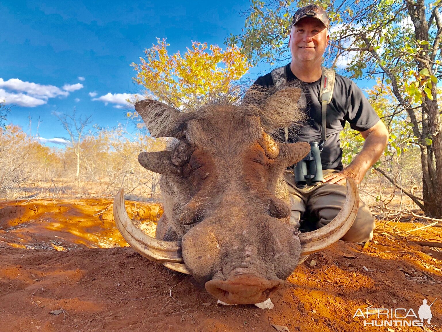 South Africa Bow Hunting Warthog