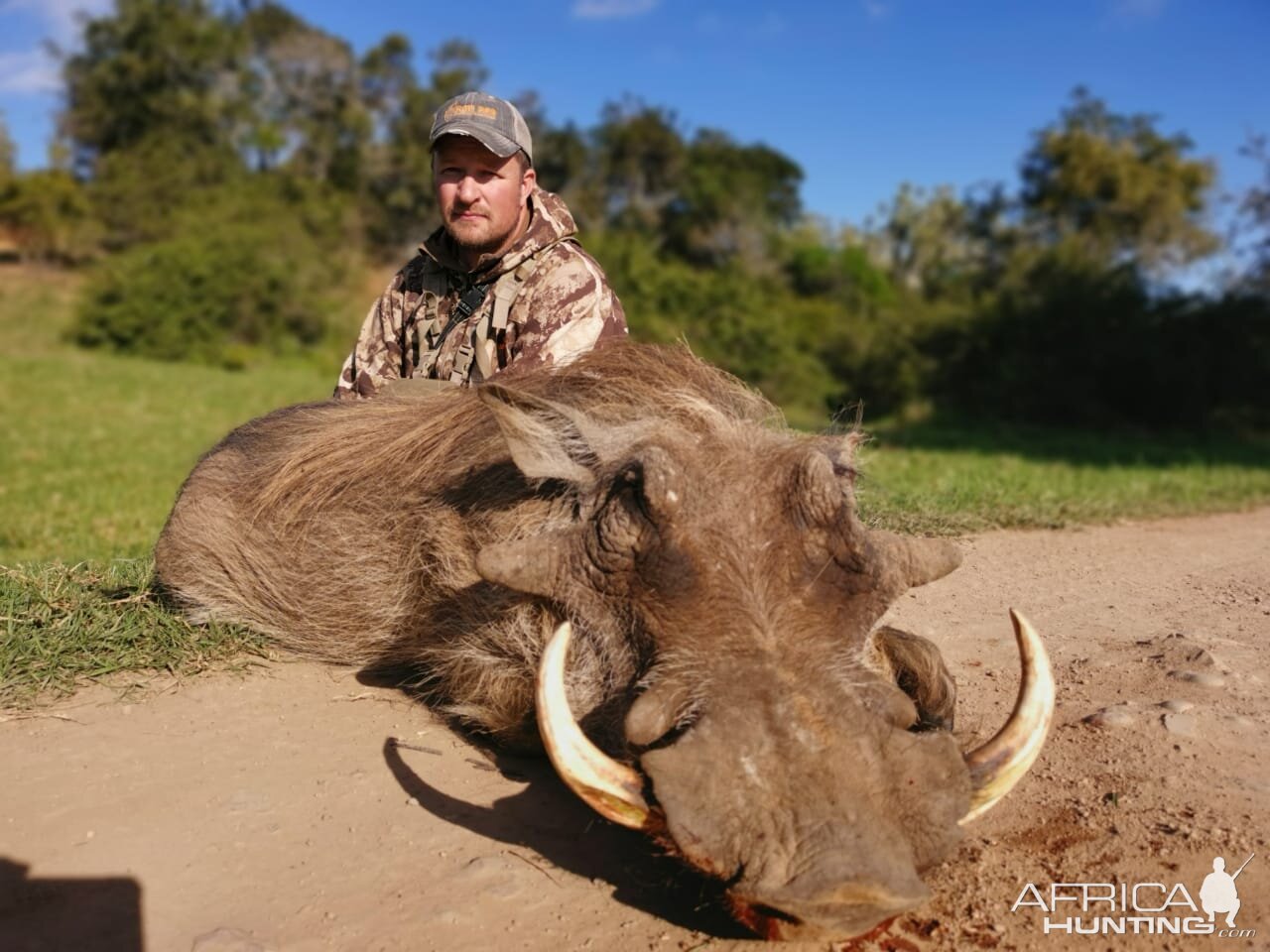 South Africa Bow Hunting Warthog