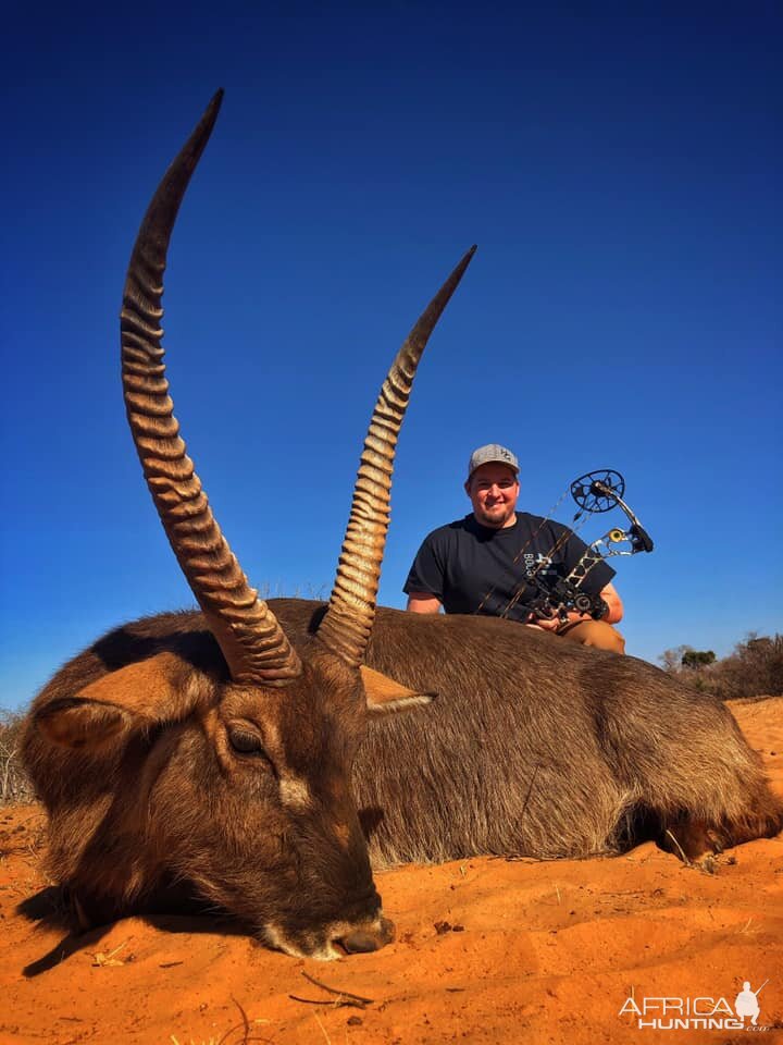 South Africa Bow Hunting Waterbuck South Africa