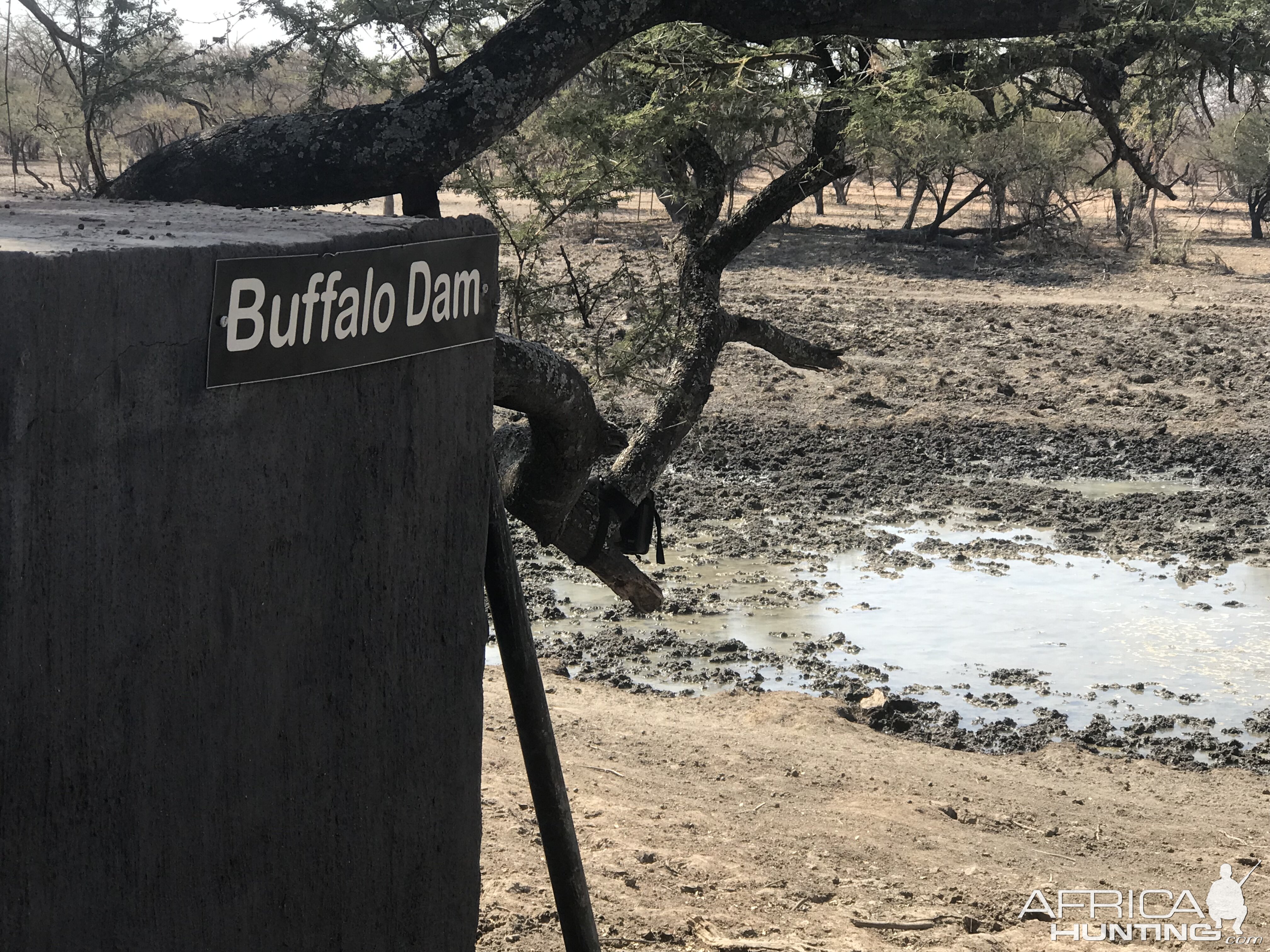 South Africa Bow Hunting