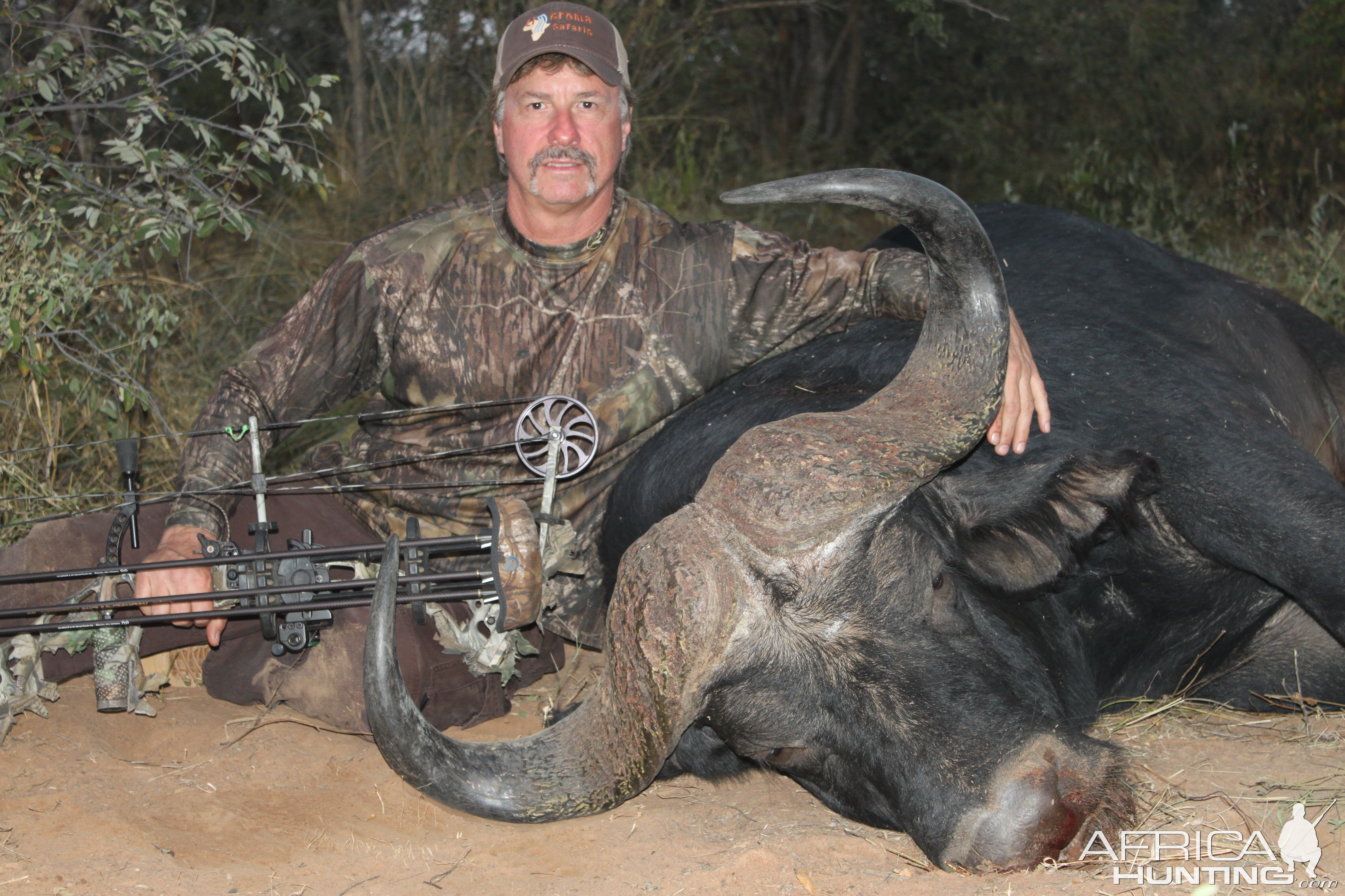 South Africa Buffalo Bowhunt