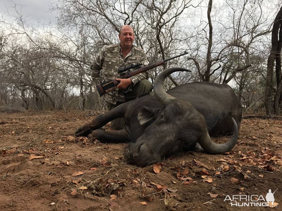 South Africa Buffalo Cow Hunt