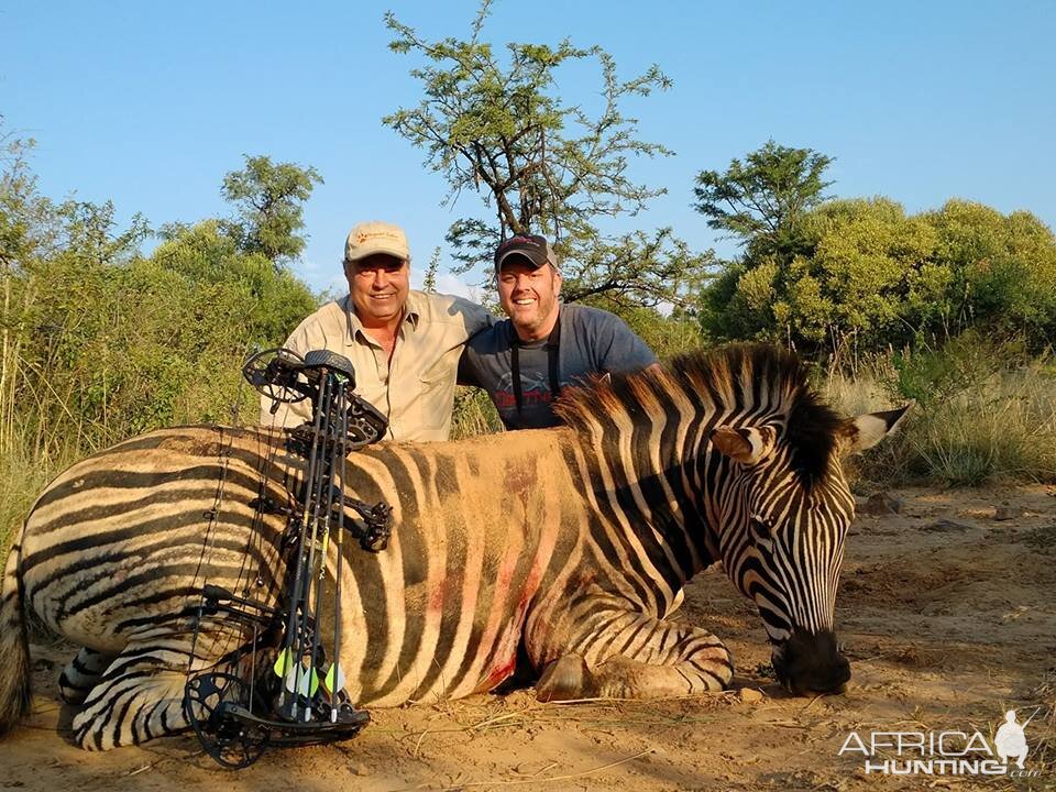 South Africa Burchell's Plain Zebra Bow Hunt