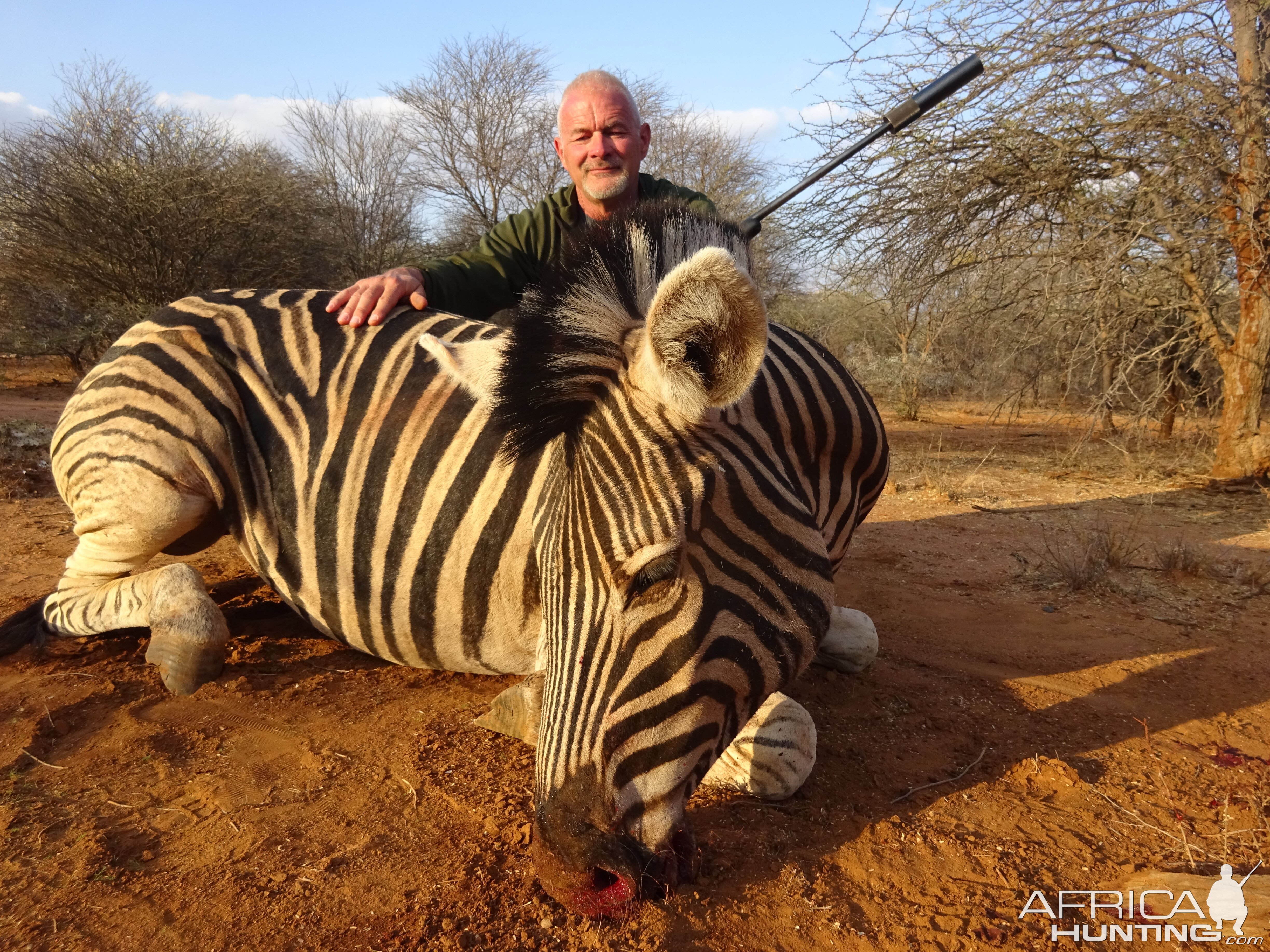 South Africa Burchell's Plain Zebra Bow Hunting