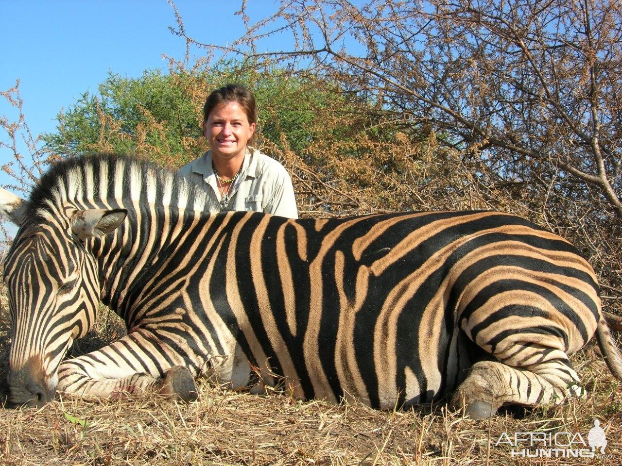 South Africa Burchell's Plain Zebra Hunt