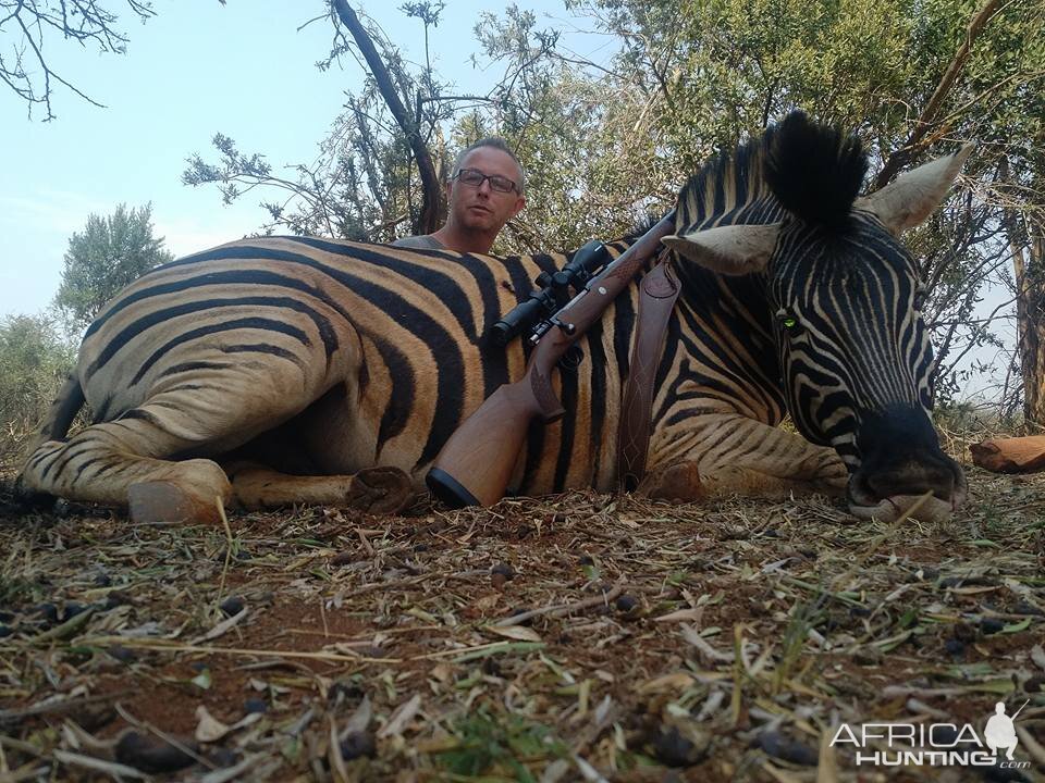 South Africa Burchell's Plain Zebra Hunt