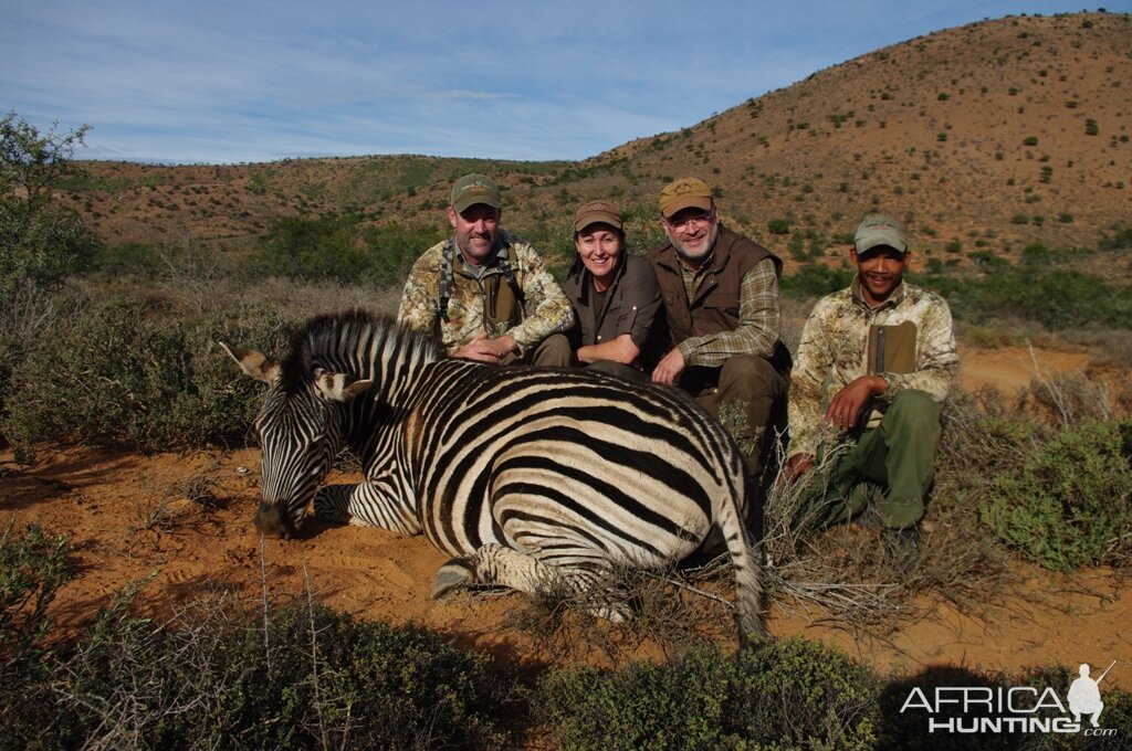 South Africa Burchell's Plain Zebra Hunt